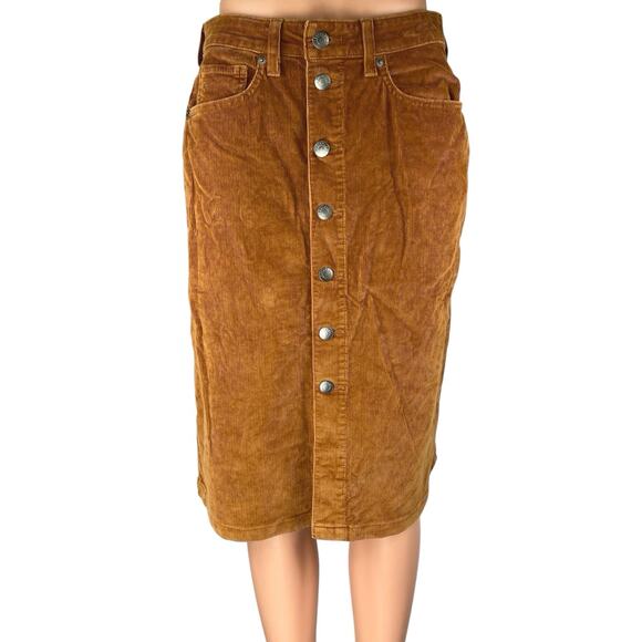 Everlane Acorn Brown Corduroy Velvet Velour Button-Front Midi A-line Skirt Sz 26 - Picture 1 of 5